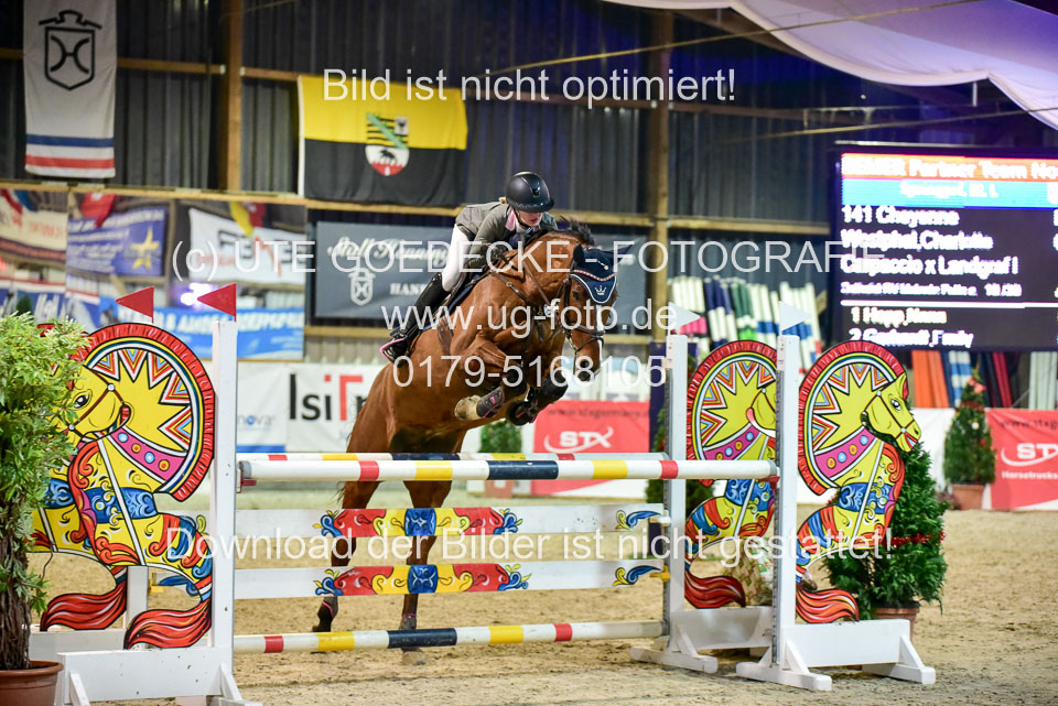 Prfg-10---Springen-Kl-L-_102.jpg