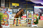 Prfg-10---Springen-Kl-L-_102.jpg