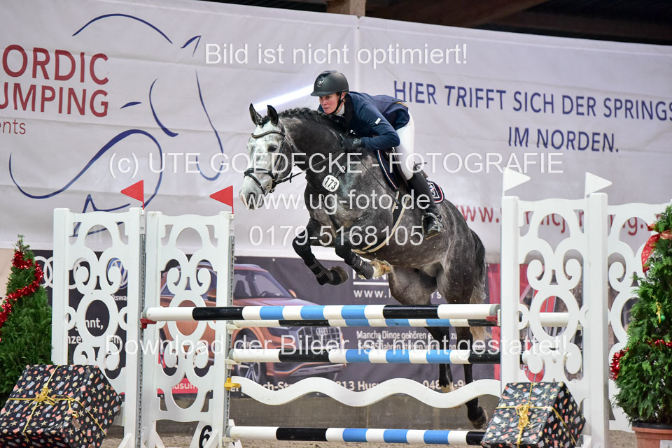 Prfg-Nr-3---Springpferde-L-_006.jpg