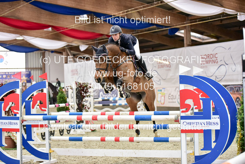 Prfg-Nr-3---Springpferde-L-_010.jpg