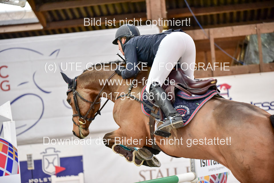 Prfg-Nr-3---Springpferde-L-_011.jpg