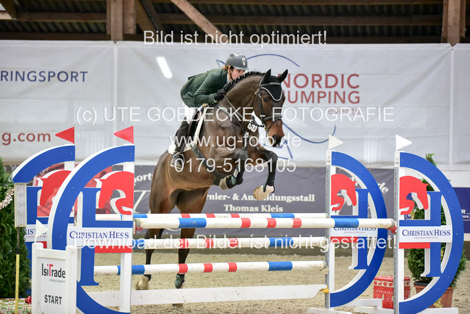 Prfg-Nr-3---Springpferde-L-_013.jpg