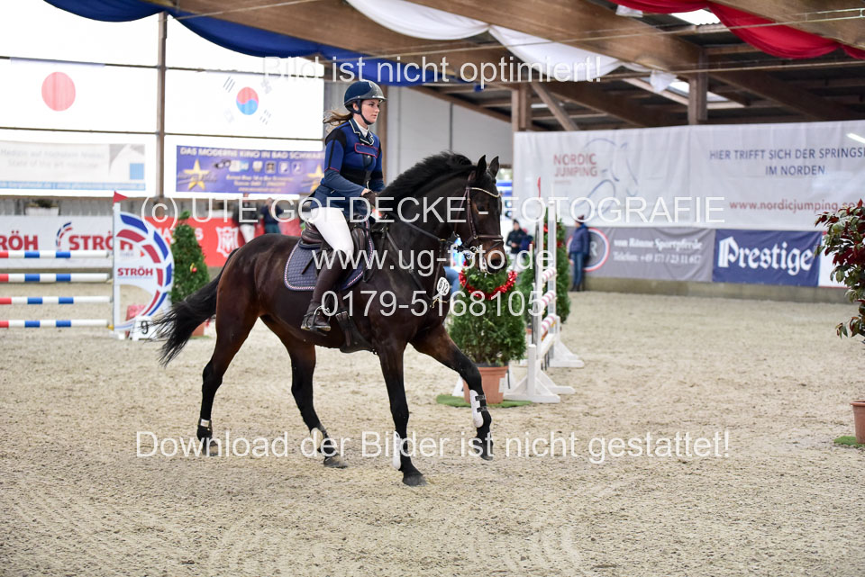 Prfg-Nr-3---Springpferde-L-_014.jpg