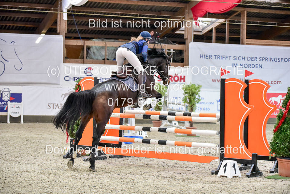 Prfg-Nr-3---Springpferde-L-_015.jpg