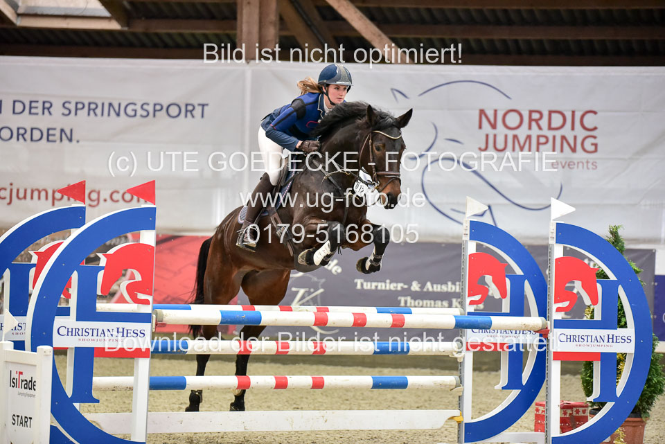 Prfg-Nr-3---Springpferde-L-_019.jpg
