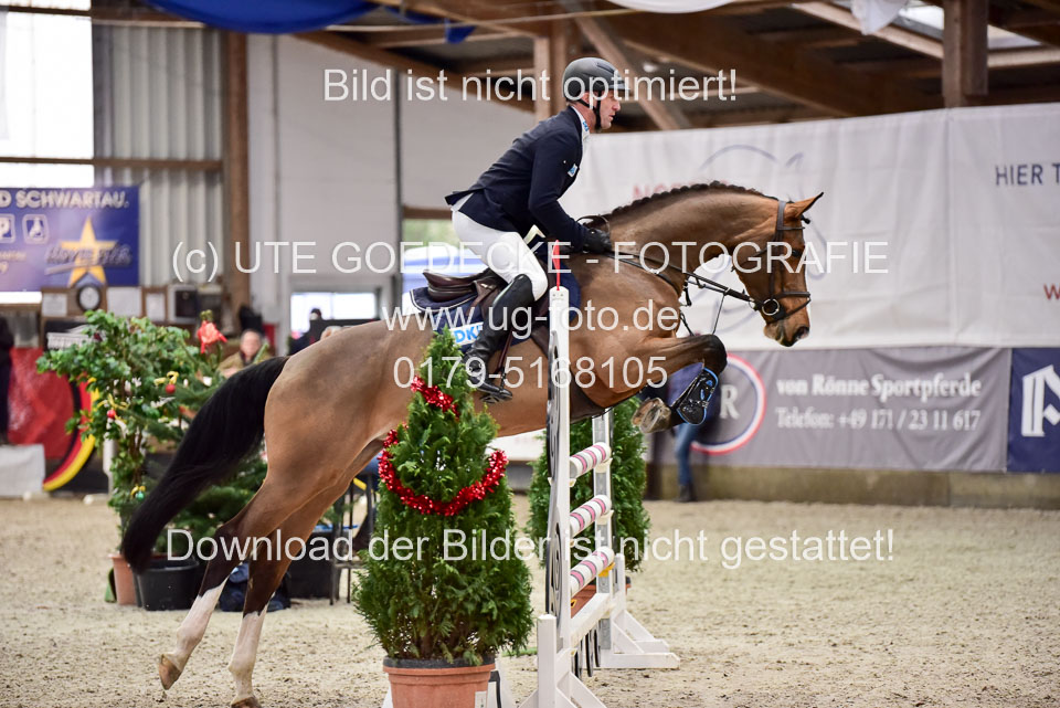 Prfg-Nr-3---Springpferde-L-_023.jpg