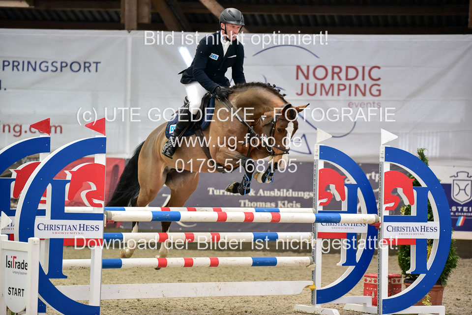 Prfg-Nr-3---Springpferde-L-_024.jpg
