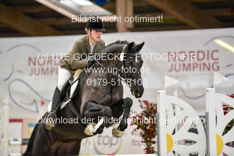 Prfg-Nr-3---Springpferde-L-_029.jpg