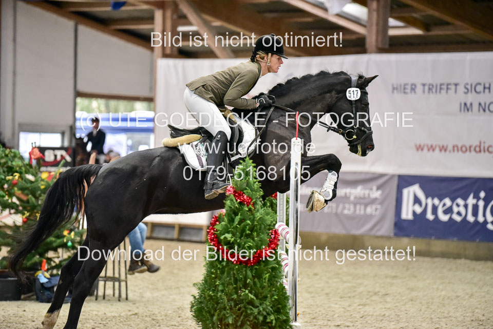 Prfg-Nr-3---Springpferde-L-_030.jpg