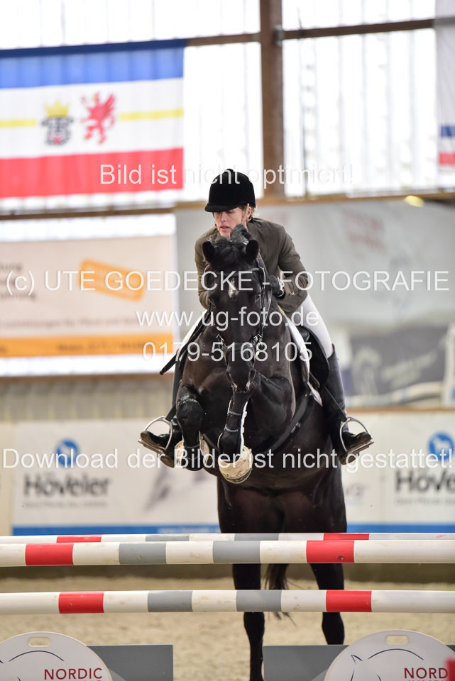 Prfg-Nr-3---Springpferde-L-_031.jpg