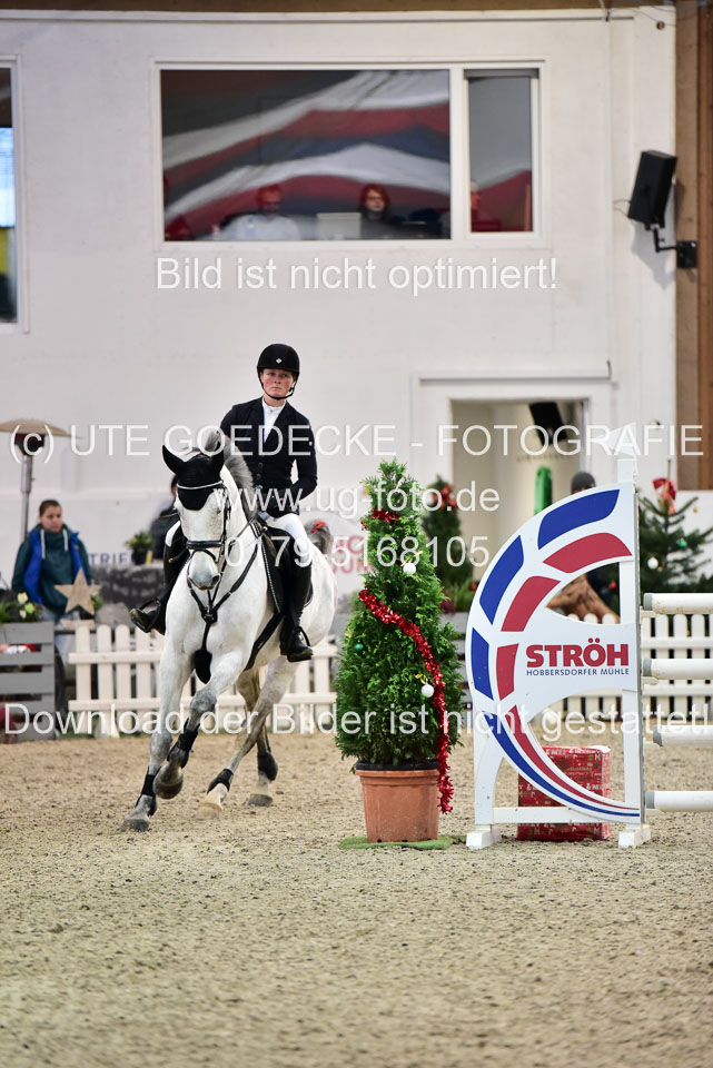Prfg-Nr-3---Springpferde-L-_033.jpg