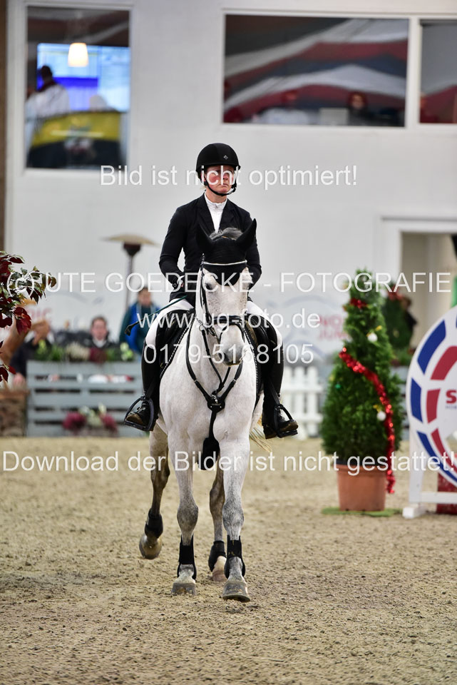 Prfg-Nr-3---Springpferde-L-_035.jpg
