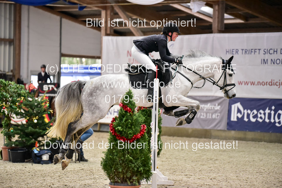 Prfg-Nr-3---Springpferde-L-_038.jpg