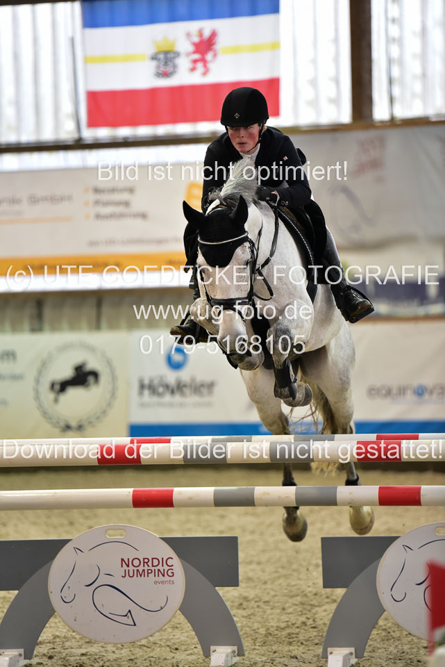 Prfg-Nr-3---Springpferde-L-_039.jpg
