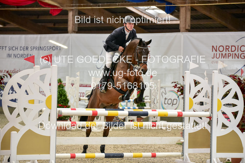 Prfg-Nr-3---Springpferde-L-_042.jpg