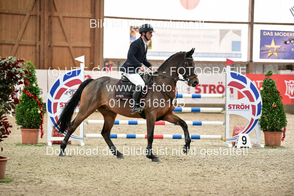 Prfg-Nr-3---Springpferde-L-_043.jpg