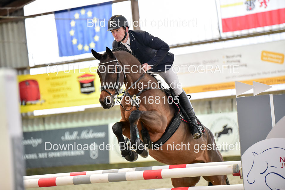 Prfg-Nr-3---Springpferde-L-_045.jpg