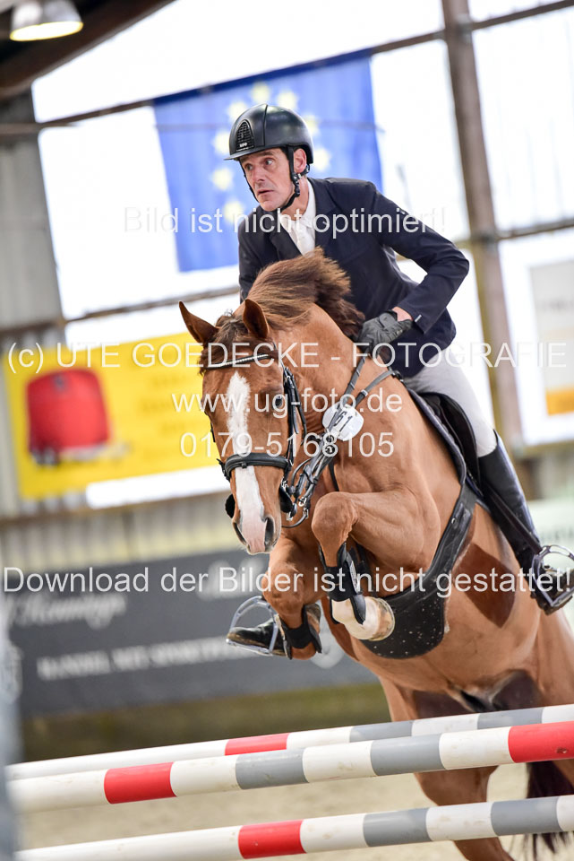 Prfg-Nr-3---Springpferde-L-_050.jpg