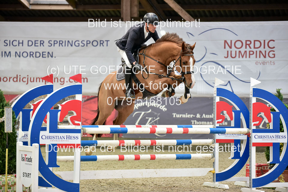 Prfg-Nr-3---Springpferde-L-_051.jpg