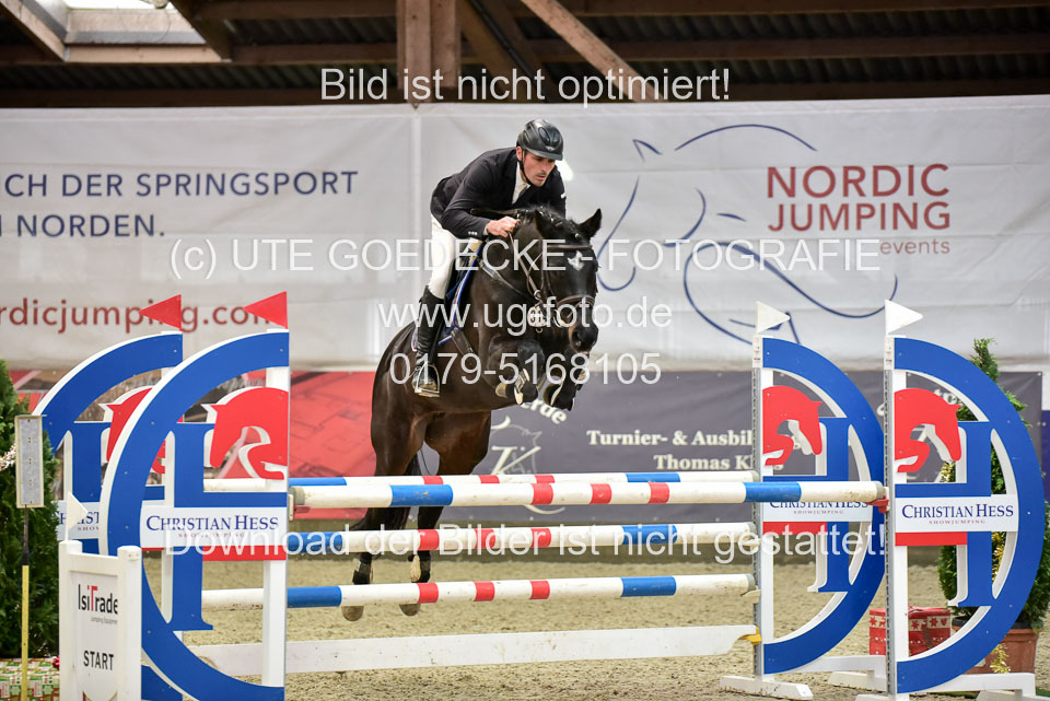 Prfg-Nr-3---Springpferde-L-_053.jpg