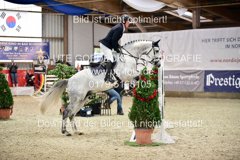 Prfg-Nr-3---Springpferde-L-_059.jpg