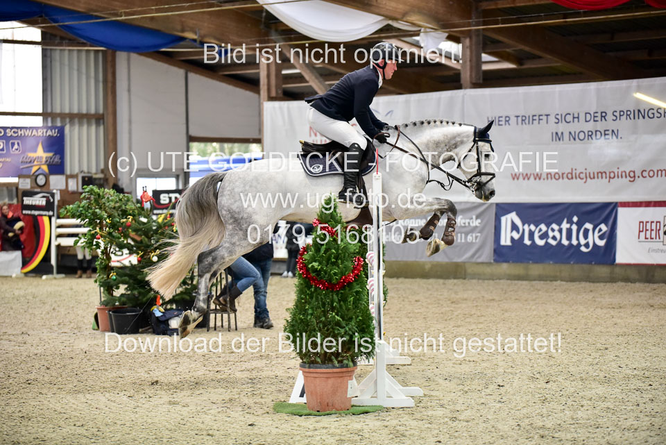 Prfg-Nr-3---Springpferde-L-_060.jpg