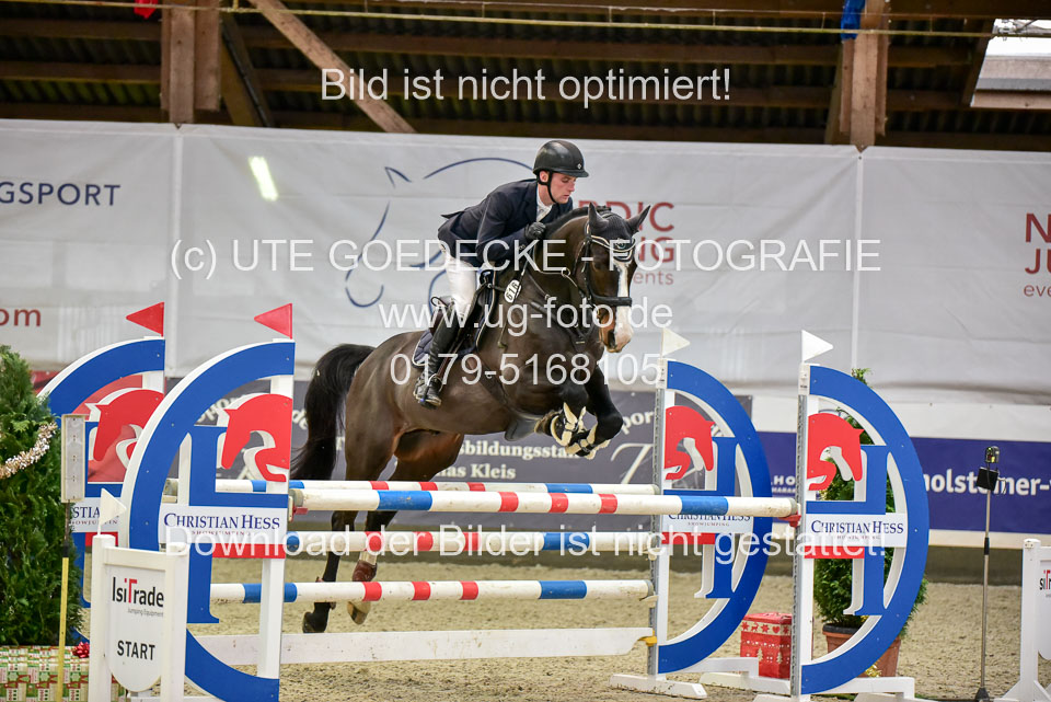 Prfg-Nr-3---Springpferde-L-_064.jpg