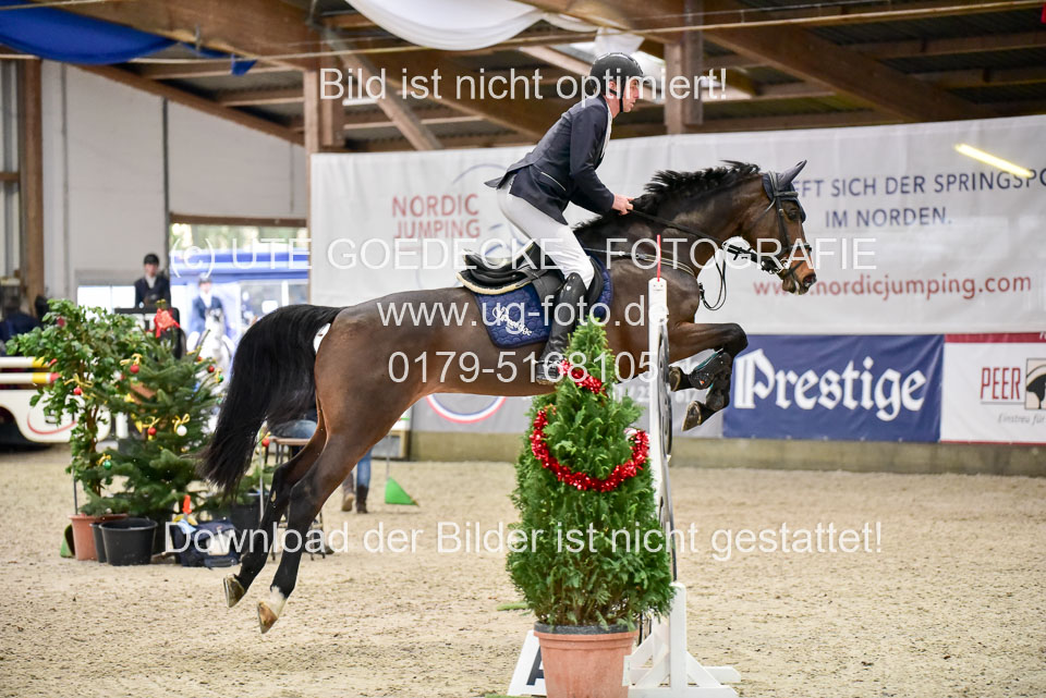 Prfg-Nr-3---Springpferde-L-_066.jpg