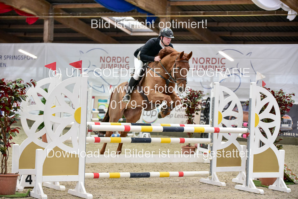 Prfg-Nr-3---Springpferde-L-_075.jpg