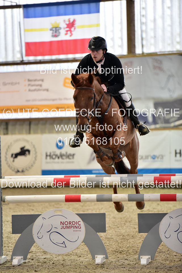 Prfg-Nr-3---Springpferde-L-_076.jpg