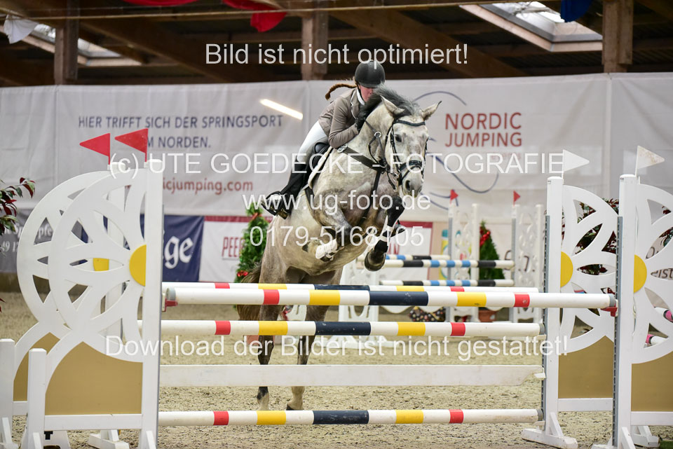 Prfg-Nr-3---Springpferde-L-_077.jpg