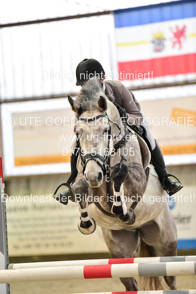 Prfg-Nr-3---Springpferde-L-_079.jpg
