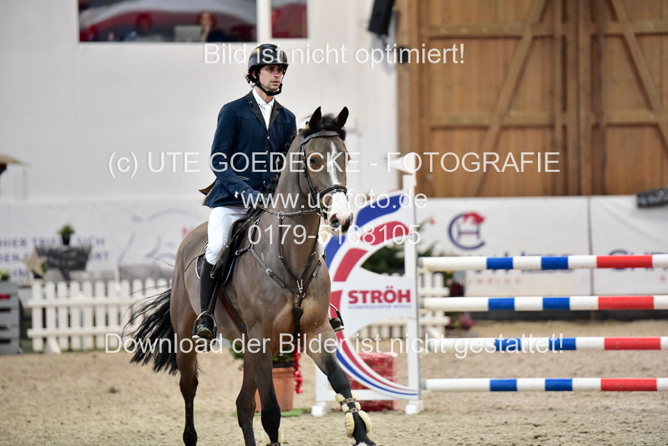 Prfg-Nr-3---Springpferde-L-_080.jpg