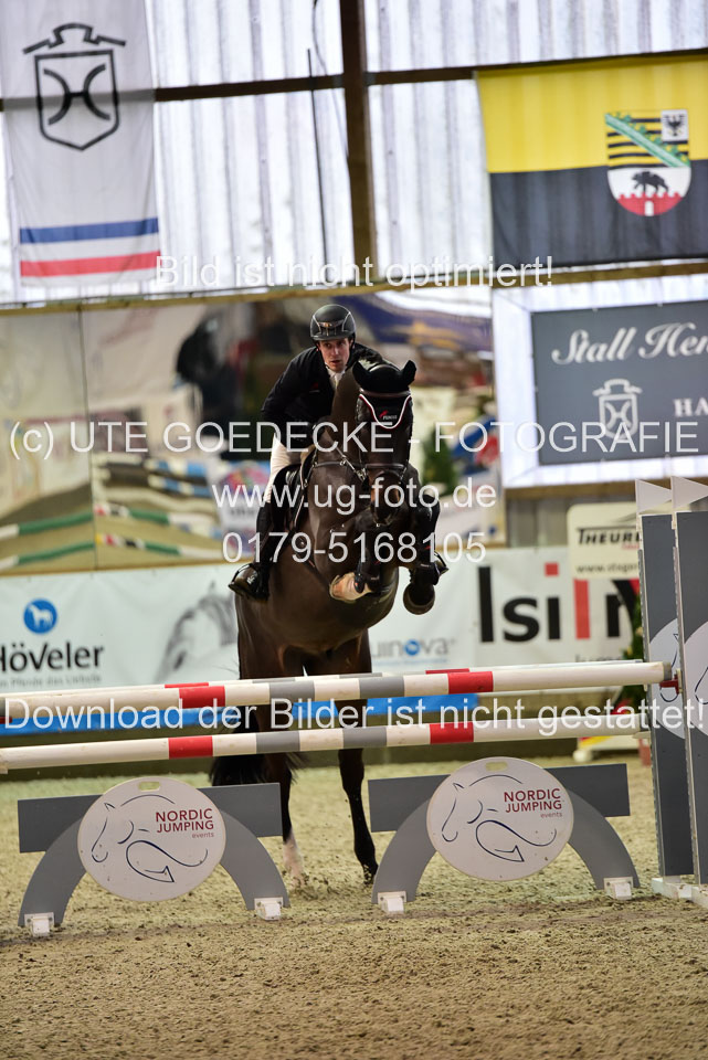 Prfg-Nr-3---Springpferde-L-_082.jpg