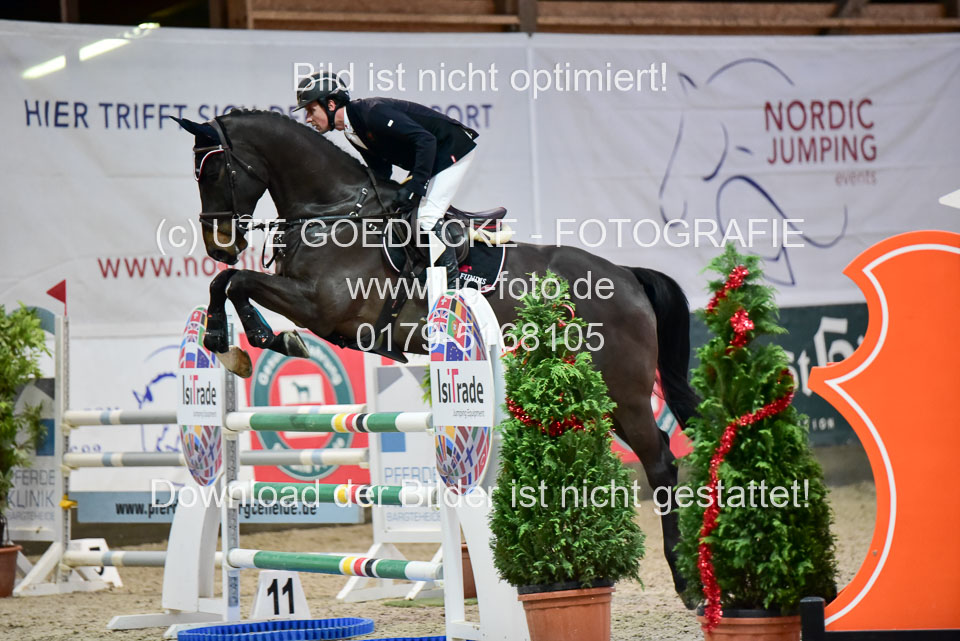 Prfg-Nr-3---Springpferde-L-_084.jpg