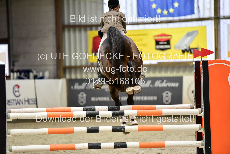 Prfg-Nr-3---Springpferde-L-_085.jpg
