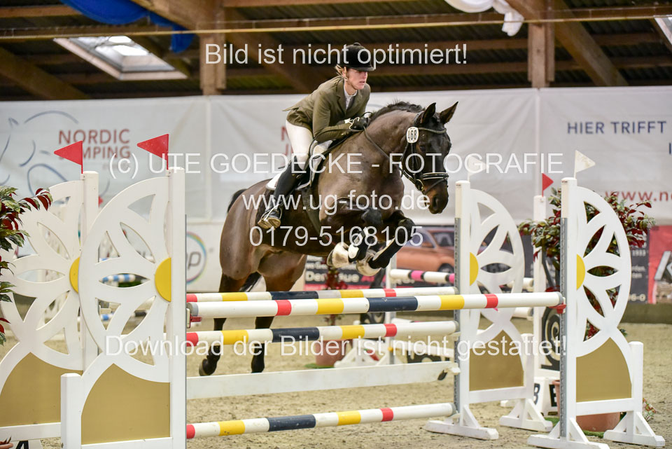 Prfg-Nr-3---Springpferde-L-_086.jpg