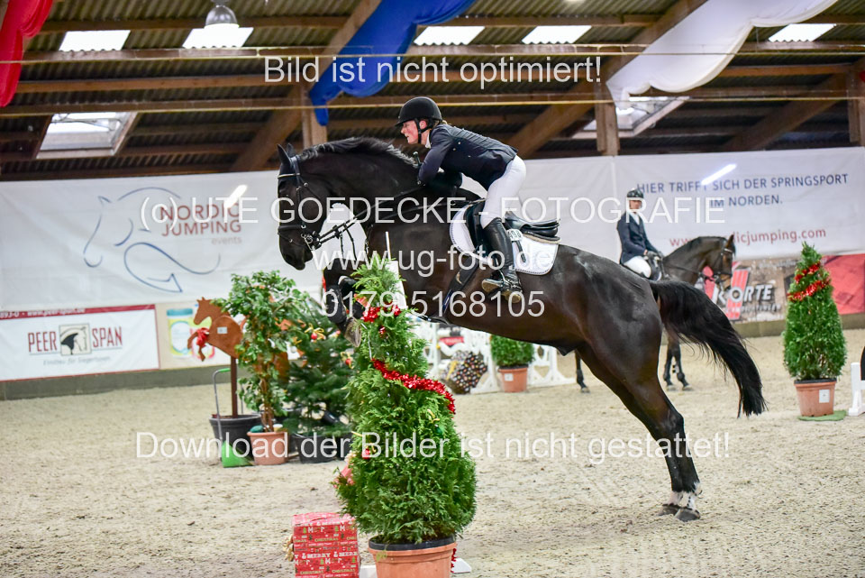 Prfg-Nr-3---Springpferde-L-_088.jpg