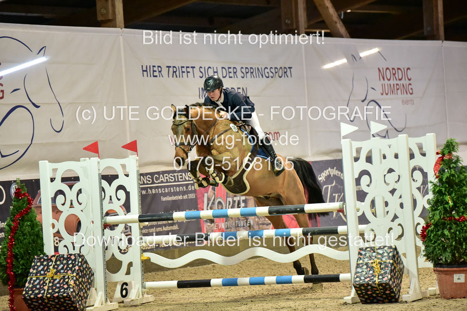 Prfg-Nr-3---Springpferde-L-_090.jpg