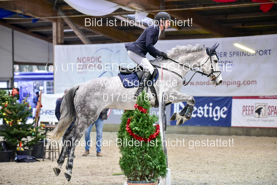 Prfg-Nr-3---Springpferde-L-_093.jpg