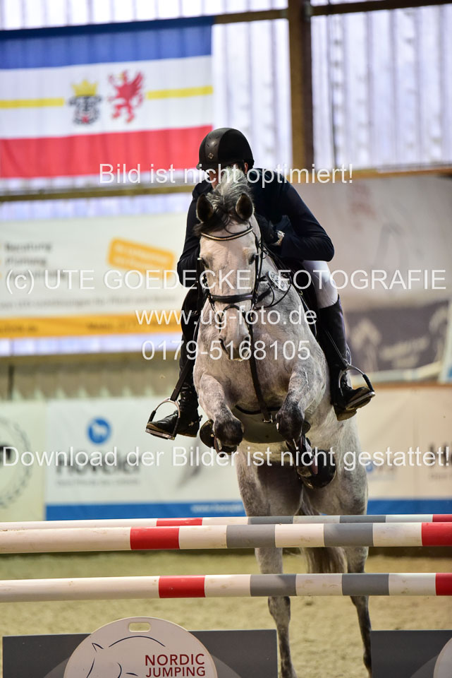 Prfg-Nr-3---Springpferde-L-_097.jpg
