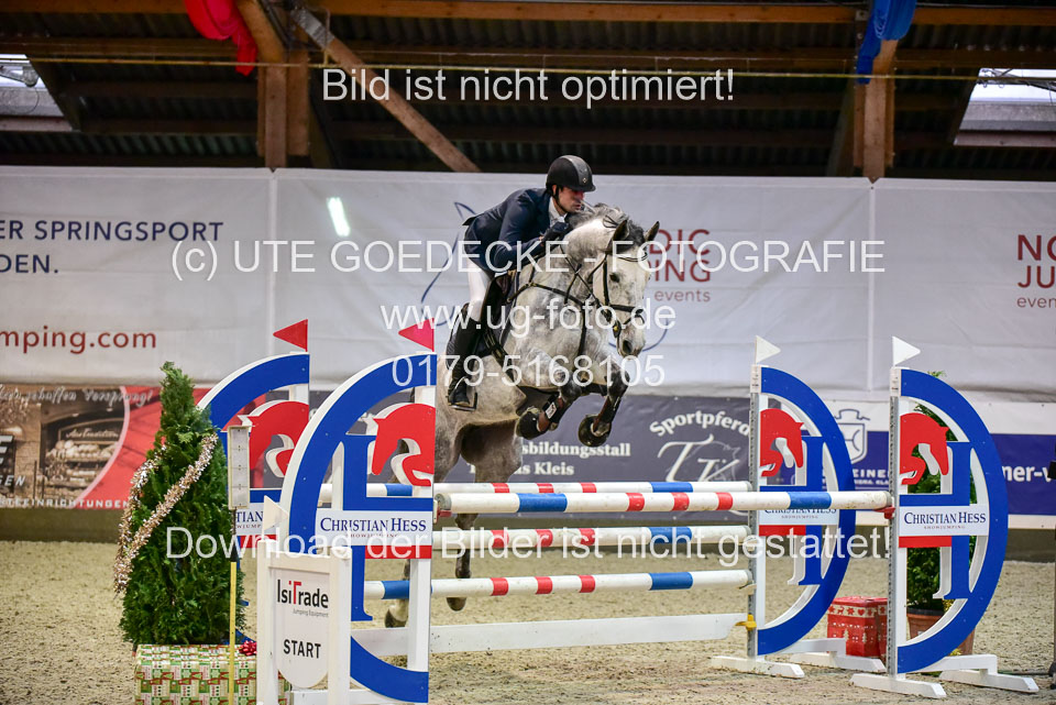Prfg-Nr-3---Springpferde-L-_098.jpg