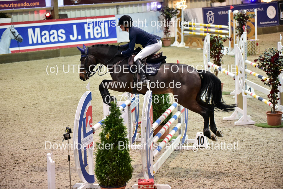 Prfg-Nr-3---Springpferde-L-_105.jpg