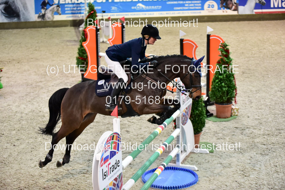 Prfg-Nr-3---Springpferde-L-_106.jpg
