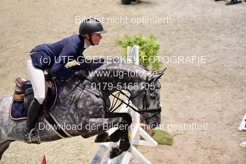 Prfg-Nr-3---Springpferde-L-_109.jpg