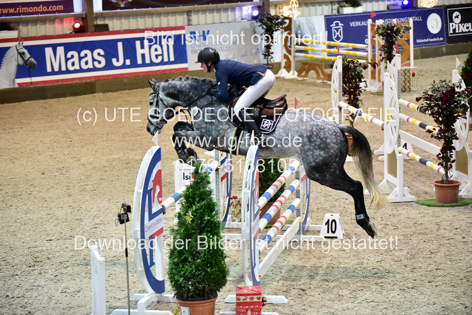 Prfg-Nr-3---Springpferde-L-_111.jpg