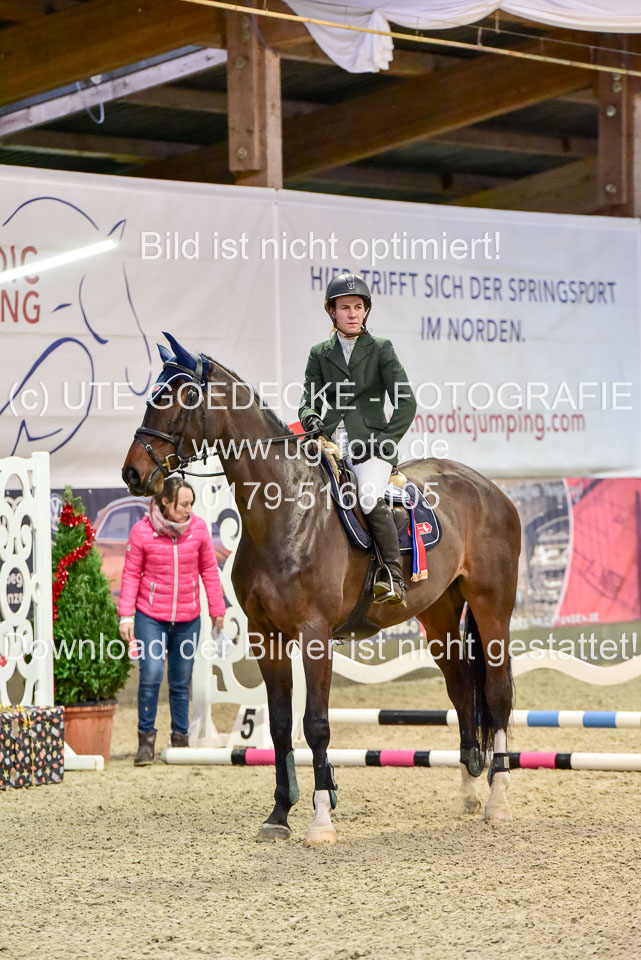 Prfg-Nr-3---Springpferde-L-_127.jpg