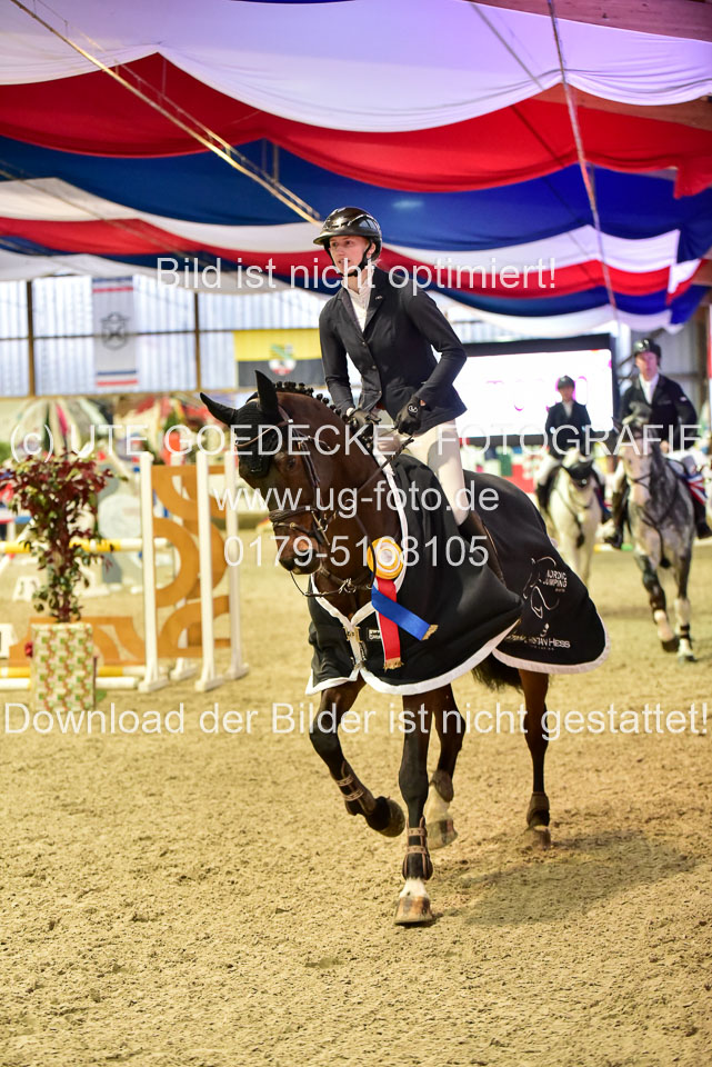 Prfg-Nr-3---Springpferde-L-_134.jpg