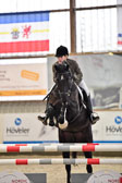Prfg 3 Springpferde L