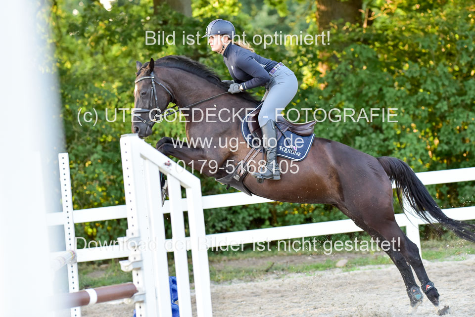 Ella_06.jpg